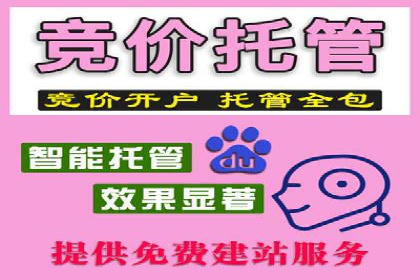 百度竞价账户管理攻略：实战案例与技巧分享